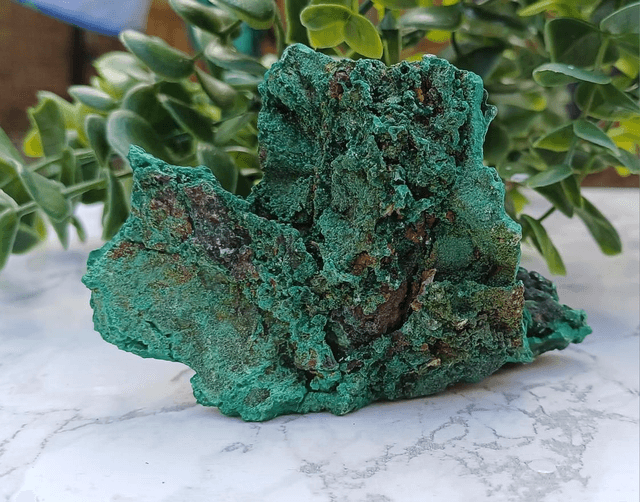 Crystal Critter Broclyn.  Malachite