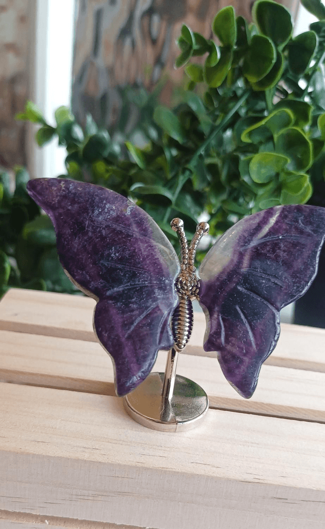 Fluorite Butterfly Wings on Silver Stand – Dark & Light Fluorite 