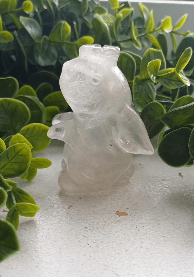 Clear Quartz moon facing Rabbit