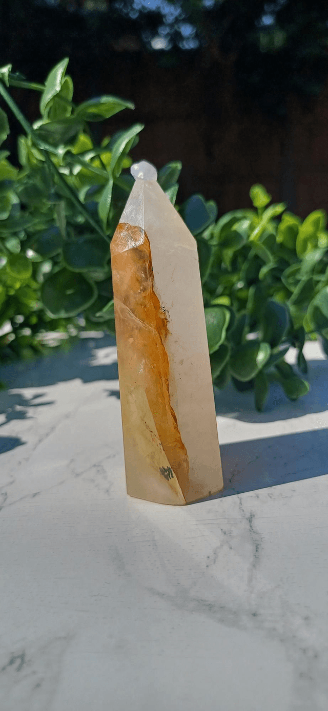 Dentritic Golden Healer