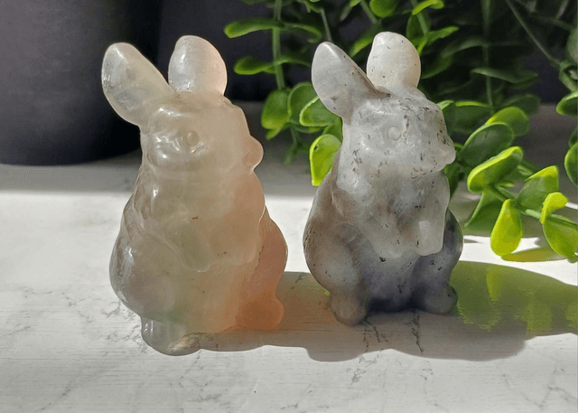 Bunny Rabbits