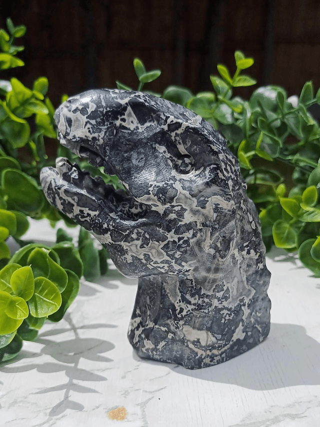 Picasso Jasper  T-Rex Dinosaur Crystal | Natural Stone Carved and Polished Tyrannosaurus Rex Head