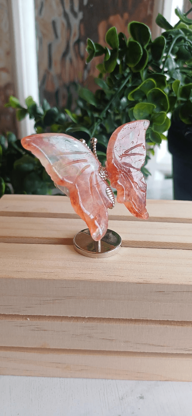 Fire Quartz Butterfly Wings on Silver Stand