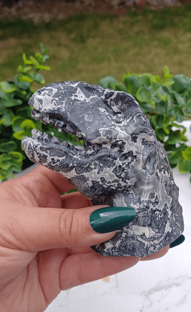 Picasso Jasper  T-Rex Dinosaur Crystal | Natural Stone Carved and Polished Tyrannosaurus Rex Head