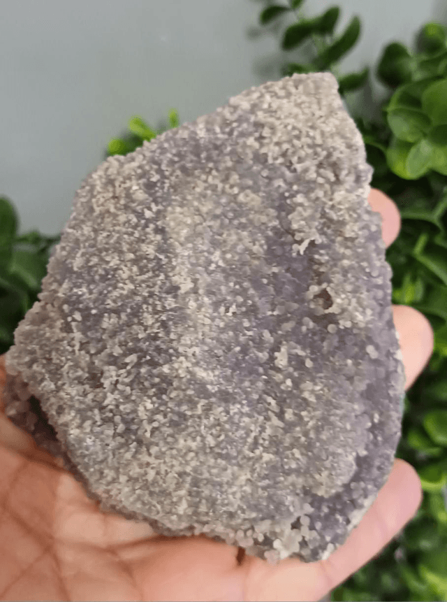 Green and Purple Grape Agate (205g)