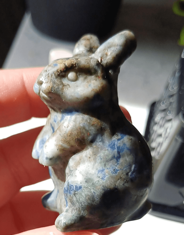Scar Sodalite Bunny Rabbit