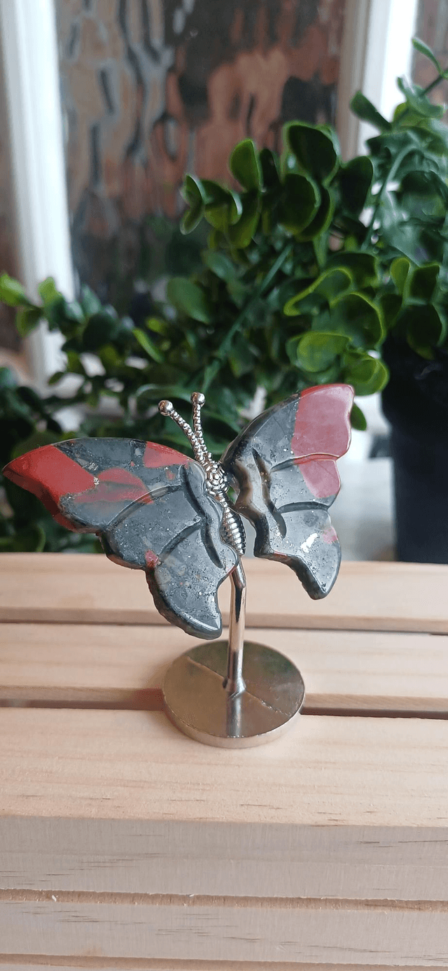 African Bloodstone Butterfly Wings on Silver Stand