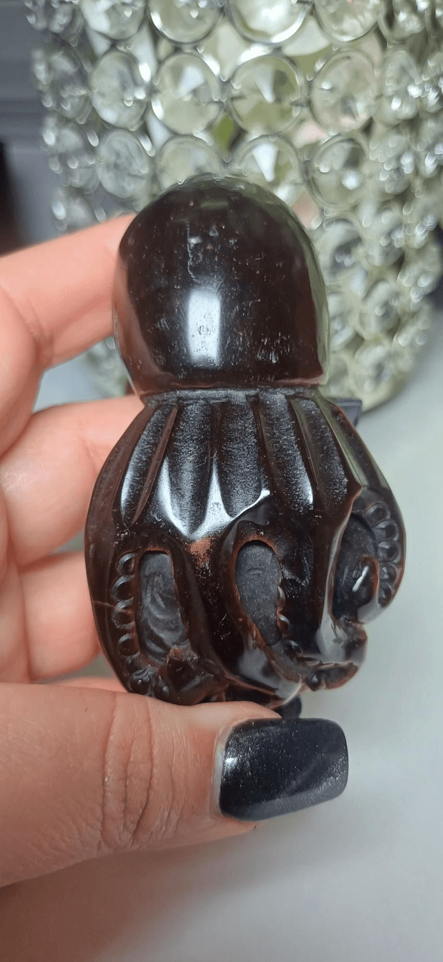 Tiger's Eye Octopus