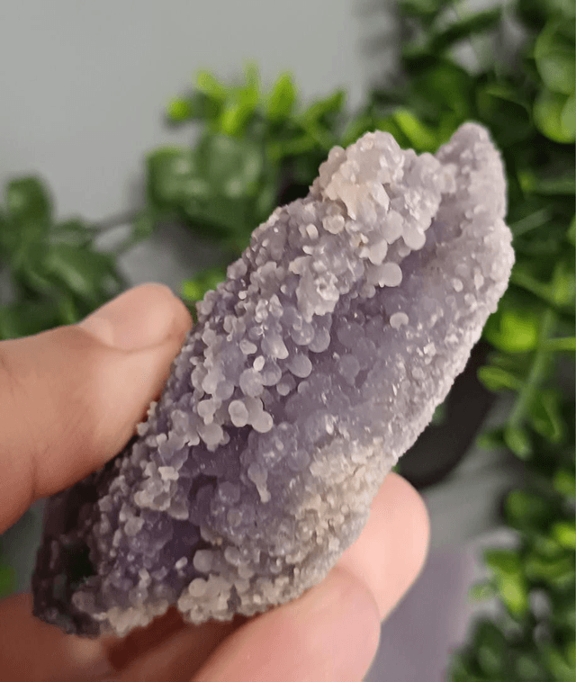Green and Purple Grape Agate (205g)