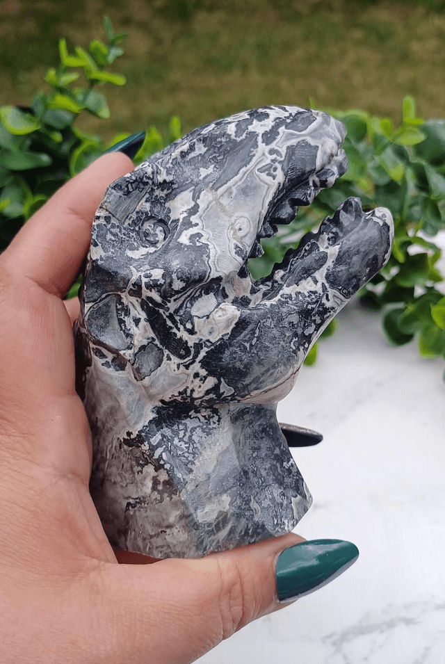 Picasso Jasper  T-Rex Dinosaur Crystal | Natural Stone Carved and Polished Tyrannosaurus Rex Head