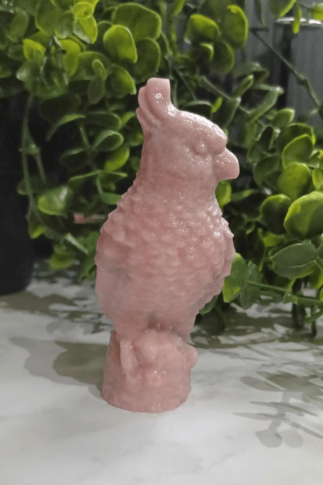 Pink Opal Parrot
