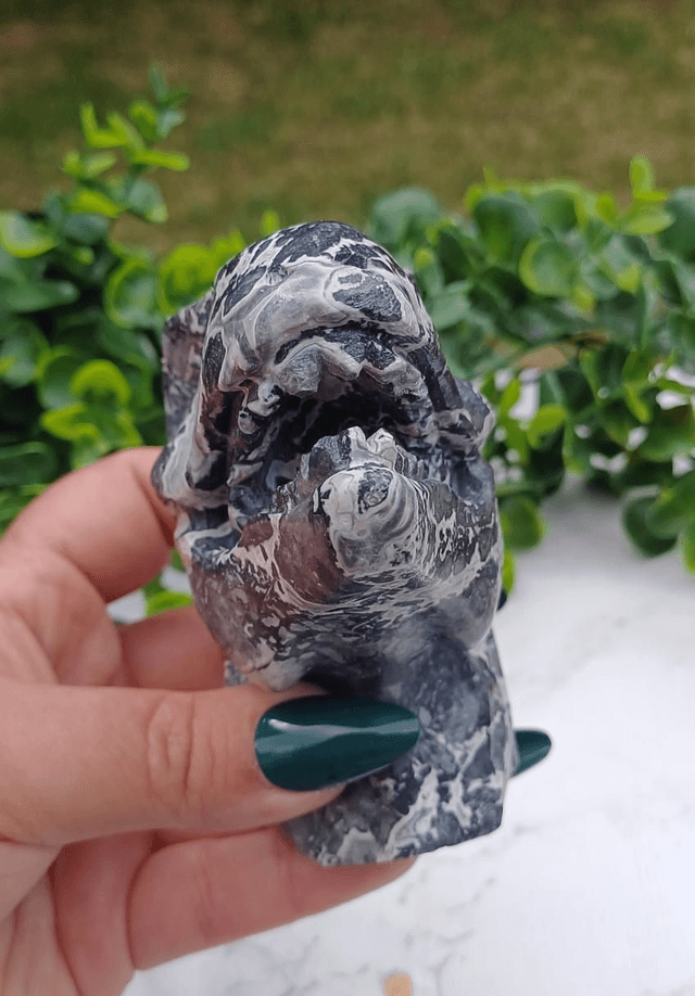 Picasso Jasper  T-Rex Dinosaur Crystal | Natural Stone Carved and Polished Tyrannosaurus Rex Head