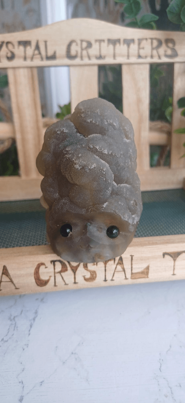 Oranda  - Crystal Critter