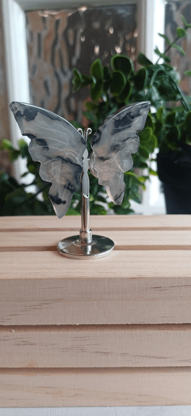 Black Agate Butterfly Wings on Silver Stand