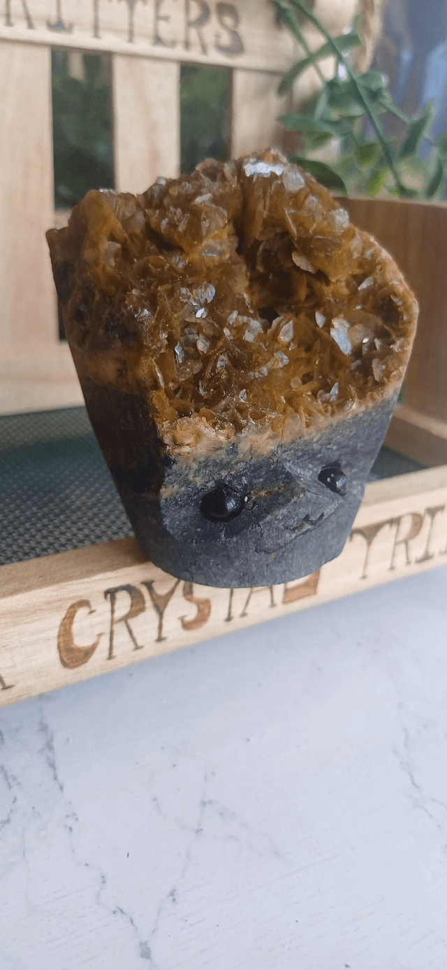 Fernin - Crystal Critter