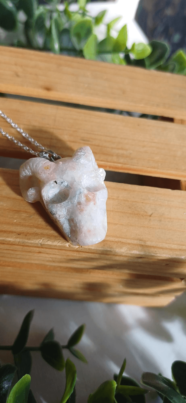 Horned Skull Pendant and 925 silver plated necklace