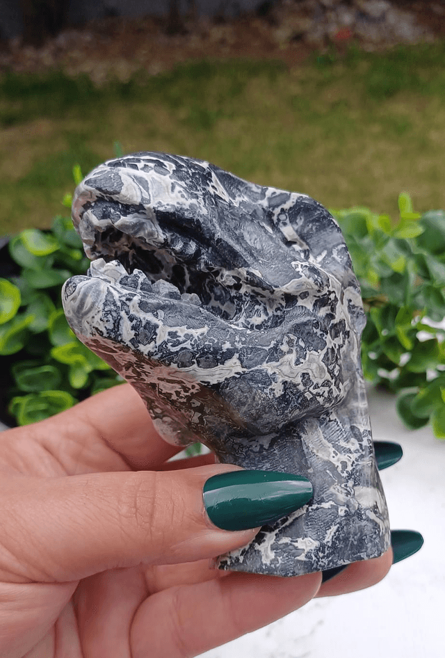 Picasso Jasper  T-Rex Dinosaur Crystal | Natural Stone Carved and Polished Tyrannosaurus Rex Head