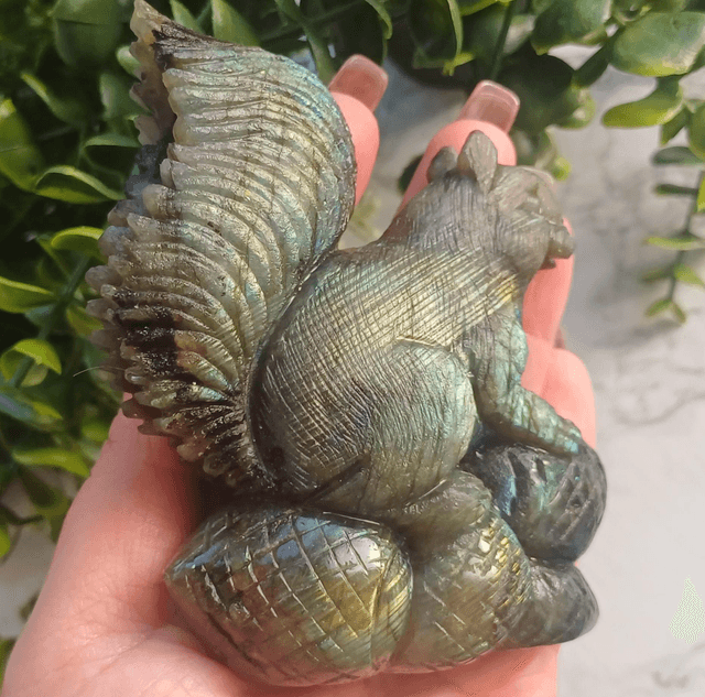 High Quality Labradorite Squirrel