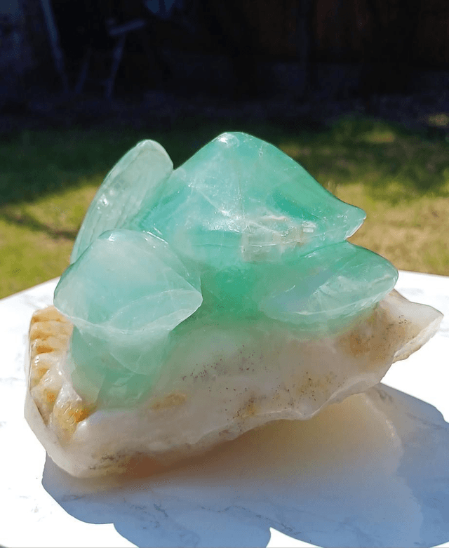 Fluorite Squirrel with Mushroom