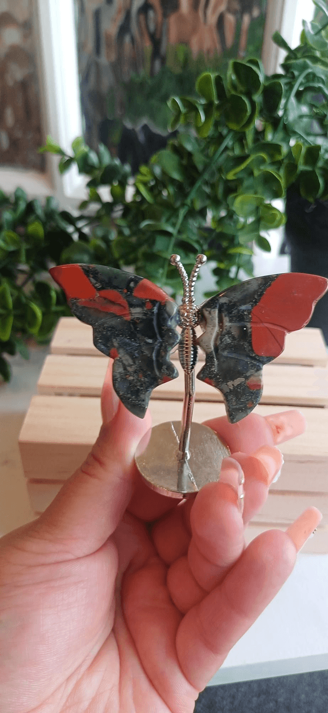 African Bloodstone Butterfly Wings on Silver Stand