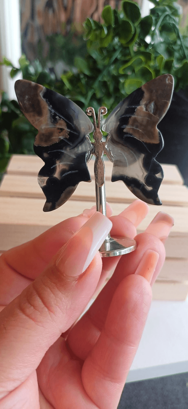 Volcano Agate Butterfly Wings on Silver Stand