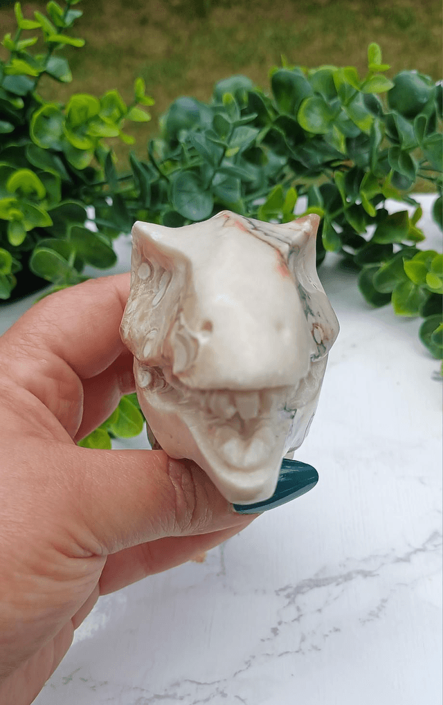 Coral Jade T-Rex Dinosaur Crystal | Natural Stone Carved and Polished Tyrannosaurus Rex Head 
