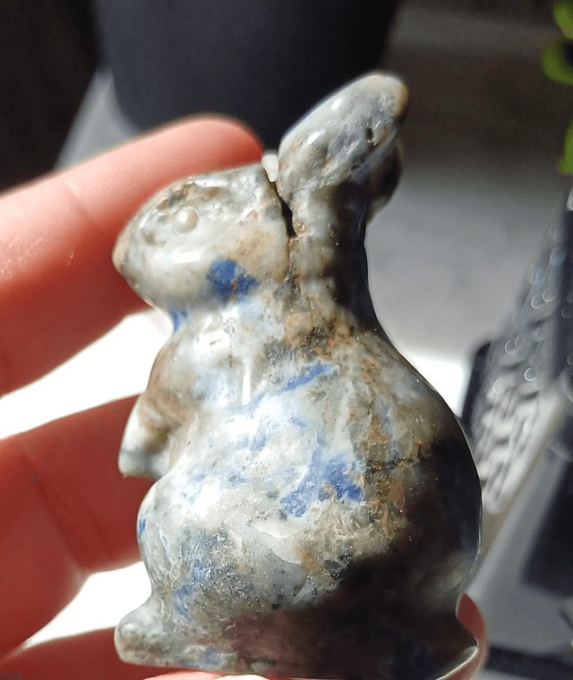 Scar Sodalite Bunny Rabbit
