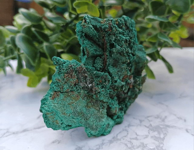 Crystal Critter Broclyn.  Malachite