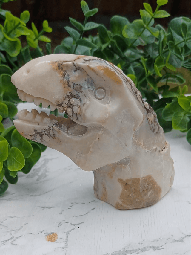 Coral Jade T-Rex Dinosaur Crystal | Natural Stone Carved and Polished Tyrannosaurus Rex Head 