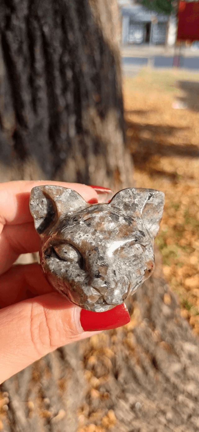 Yooperlite Third Eye Cat Head