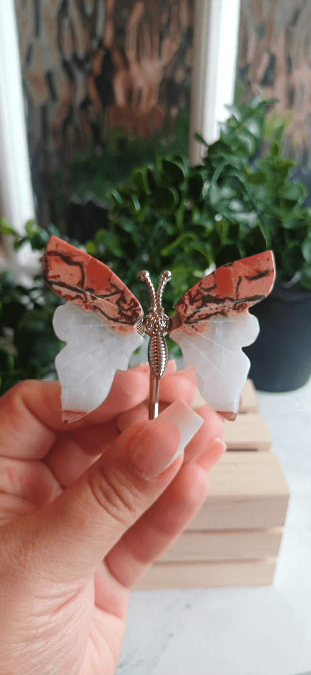 Agate Butterfly Wings on Silver Stand