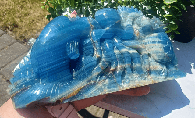 Blue Onyx Octopus, Dolphin, Fish Under the Sea