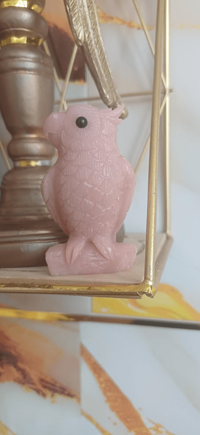Pink Opal Parrot 