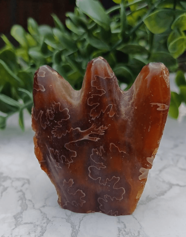 Crystal Critter Shelby. Ammonite 