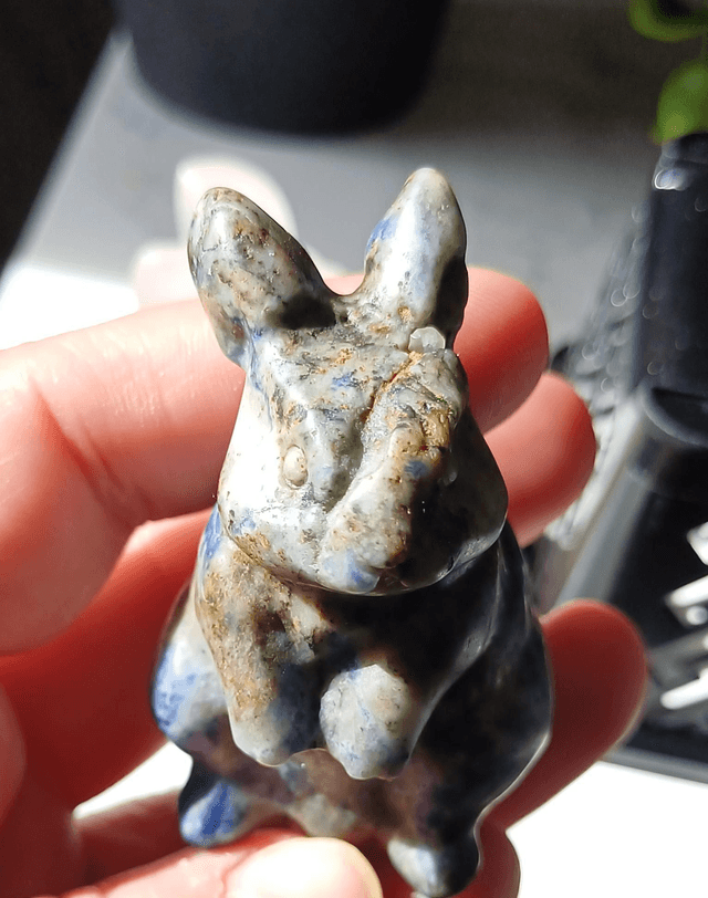 Scar Sodalite Bunny Rabbit