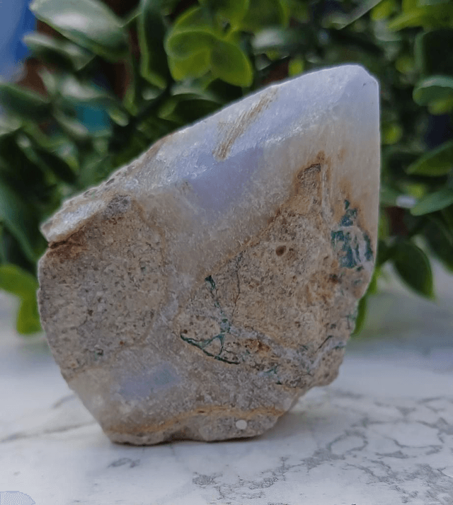 Crystal Critter Glacine