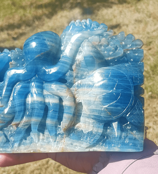 Blue Onyx Octopus, Dolphin, Fish Under the Sea