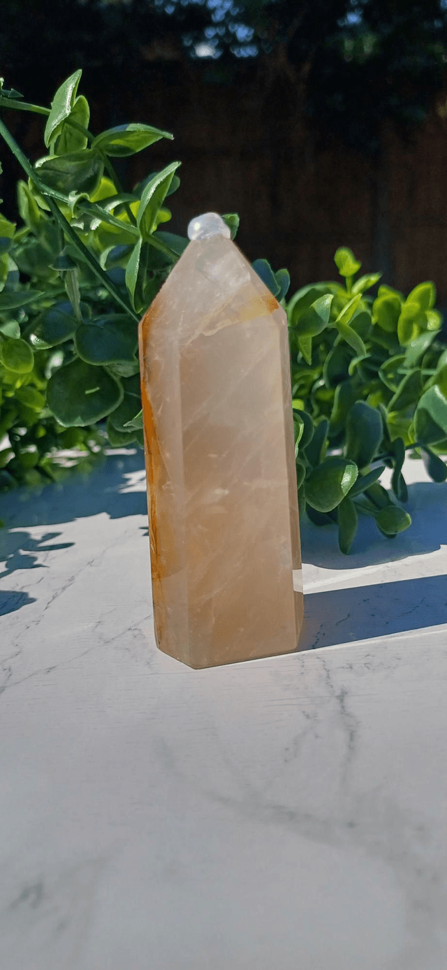 Dentritic Golden Healer