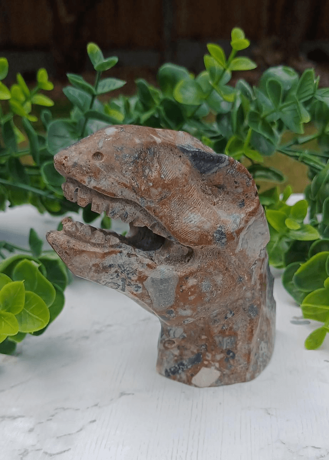 Money Agate T-Rex Dinosaur Crystal | Natural Stone Carved and Polished Tyrannosaurus Rex Head 