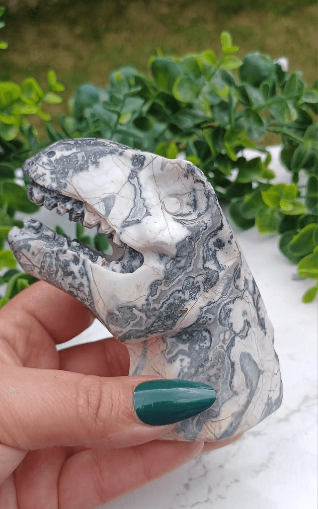 Picassso Jasper T-Rex Dinosaur Crystal | Natural Stone Carved and Polished Tyrannosaurus Rex Head no.2