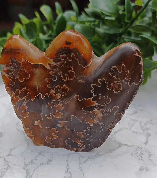 Crystal Critter Autumn. Ammonite 