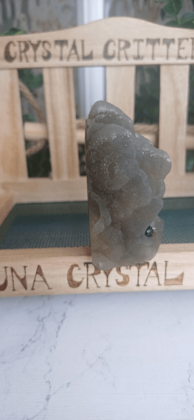 Oranda  - Crystal Critter