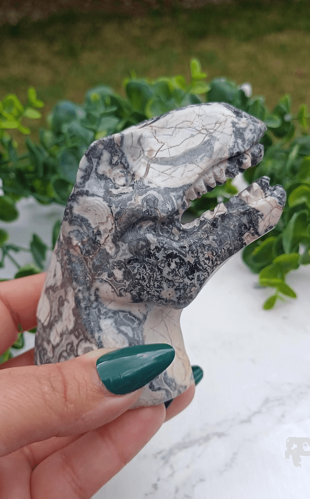 Picassso Jasper T-Rex Dinosaur Crystal | Natural Stone Carved and Polished Tyrannosaurus Rex Head no.2