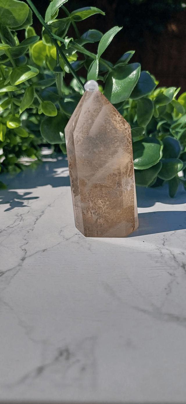 Dendritic Girasol Quartz 3 (70g)
