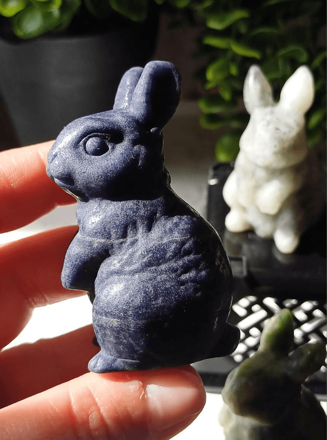 Bunny Rabbits
