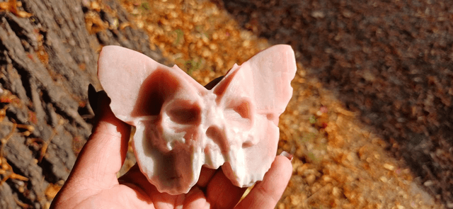 Skull Moth 
