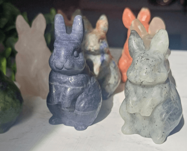 Bunny Rabbits