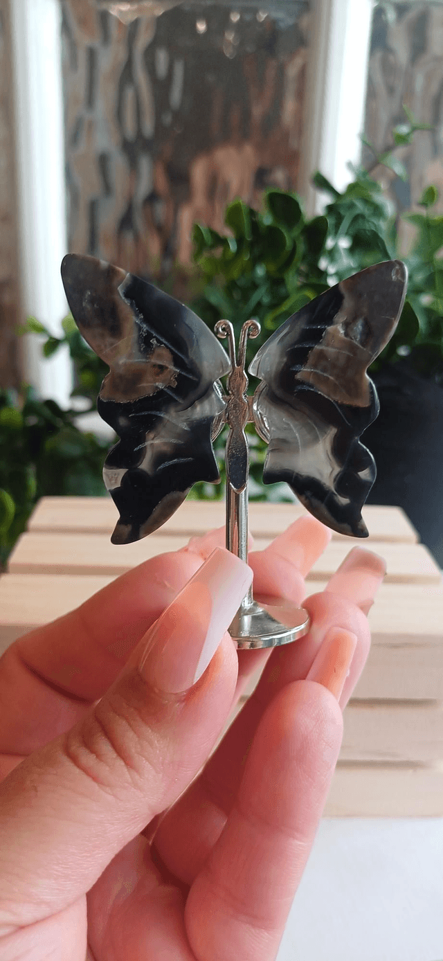 Volcano Agate Butterfly Wings on Silver Stand