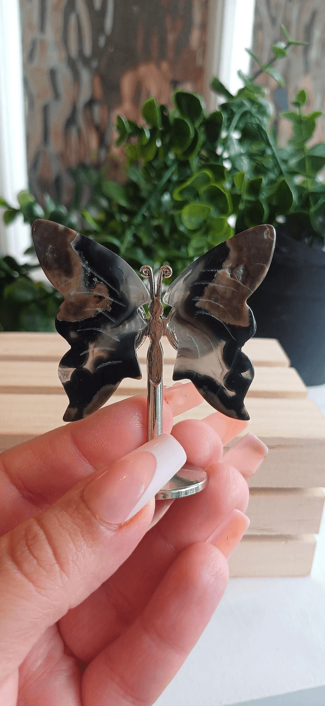 Volcano Agate Butterfly Wings on Silver Stand