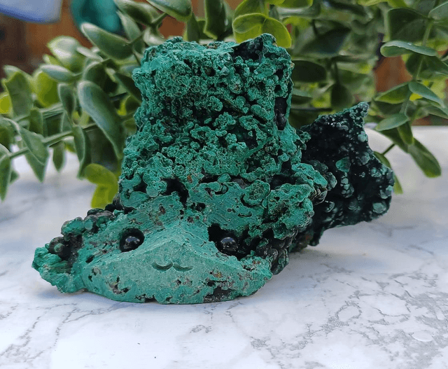 Crystal Critter Broclyn.  Malachite